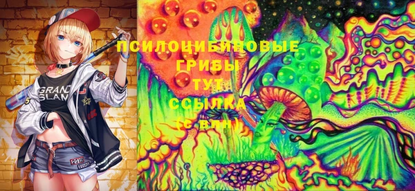 крисы Майский