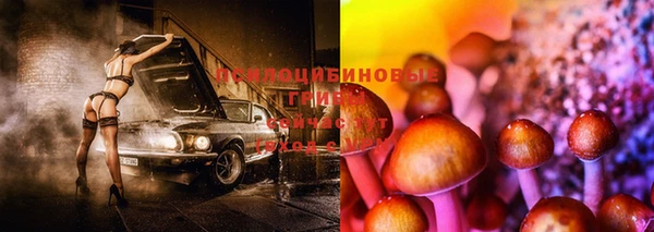2c-b Абдулино
