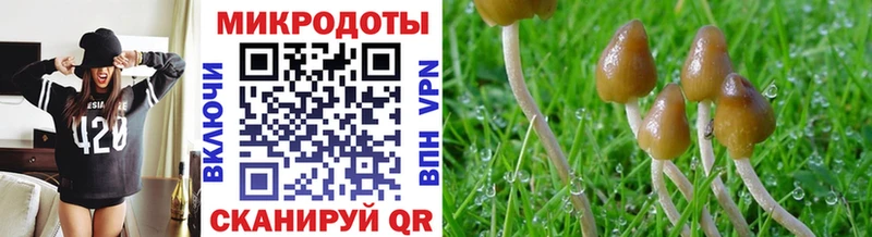 Галлюциногенные грибы мицелий  наркота  Химки 