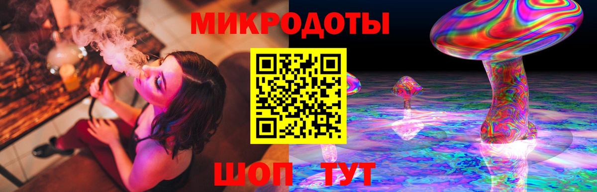 Галлюциногенные грибы Psilocybe Химки